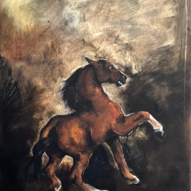 Peinture chevaux lusitanien étalon bau