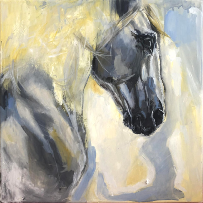 lusitanien peinture chevaux étalon blanc